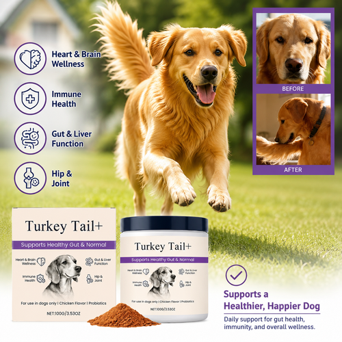 Dog Probiotic Powder for Dogs – Daily Digestive Health Supplement (100g)
