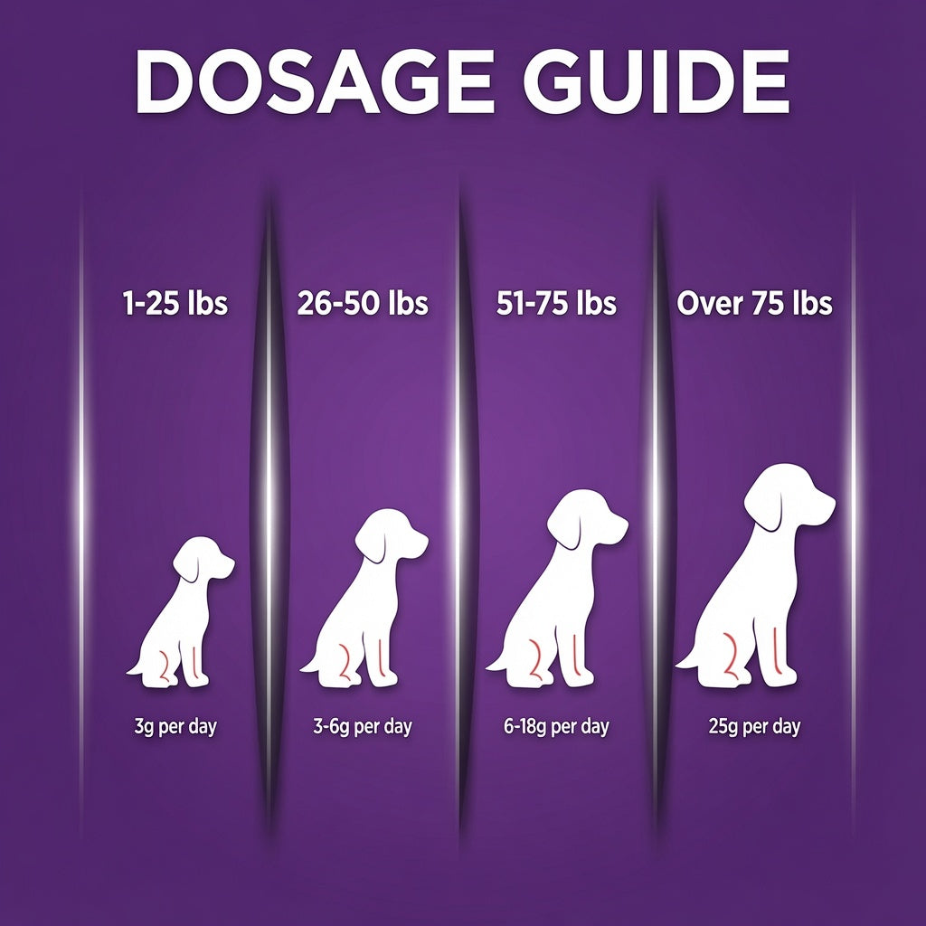 Dog Probiotic Powder for Dogs – Daily Digestive Health Supplement (100g)