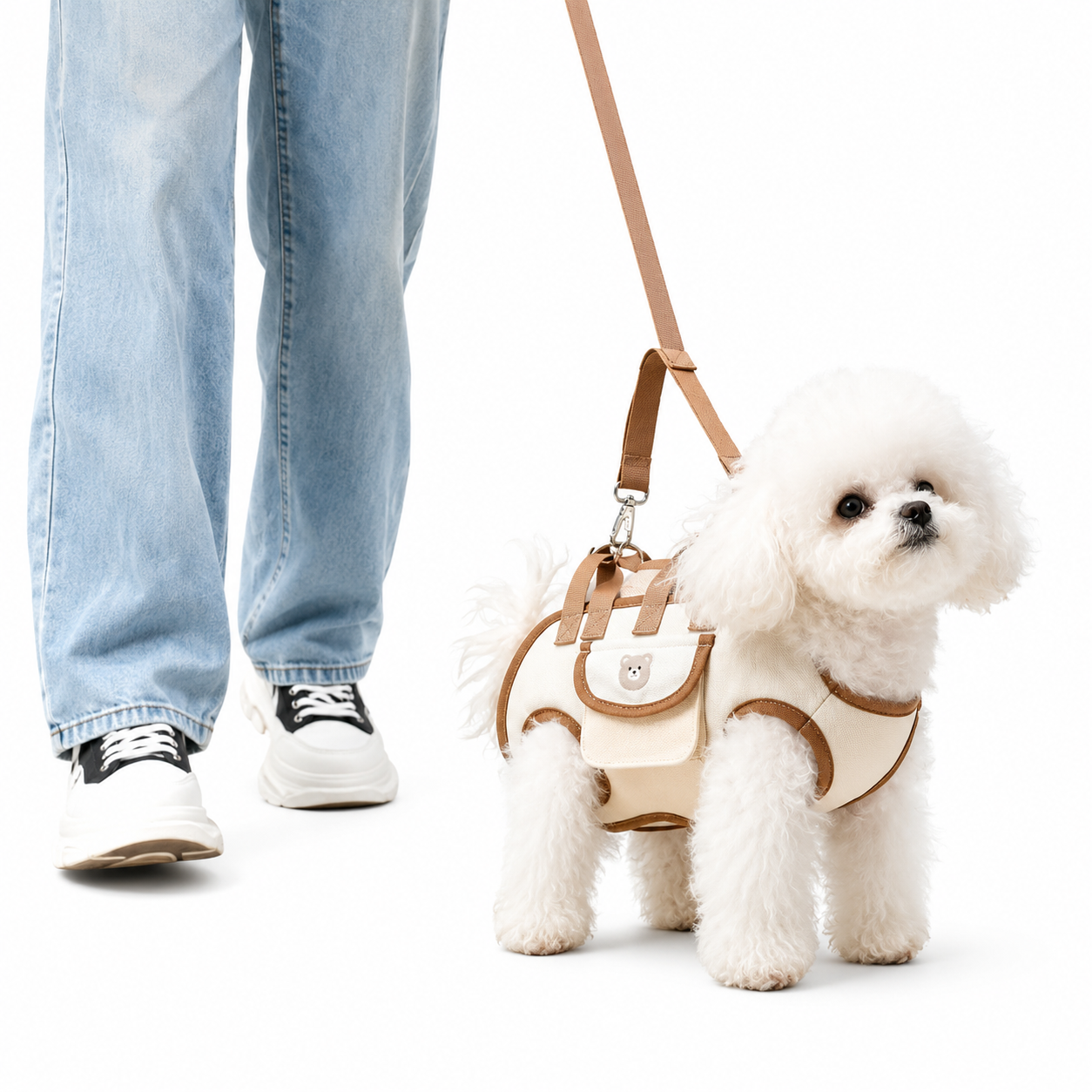 A small white fluffy dog wearing a beige and brown harness with a matching leash, shown next to a person's legs in light blue jeans and white sneakers on a white background.